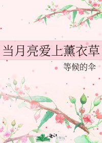 當月亮愛上薰衣草