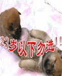 23岁以下勿进,谢谢!