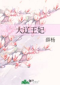 大遼王妃