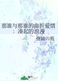那谁与那谁的曲折爱情：凑起的浪漫
