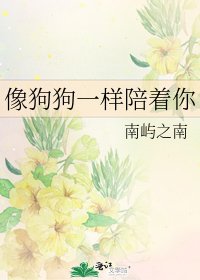 像狗狗一样陪着你