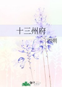 十三州府