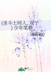 (聖鬥士同人, 雙子) 少年筆耕